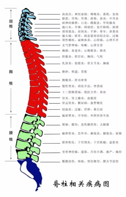 澳门今晚开生肖