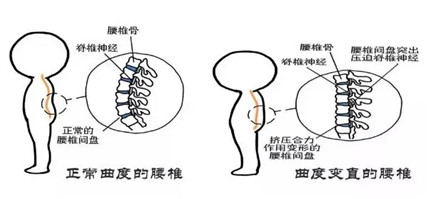 澳门今晚开生肖