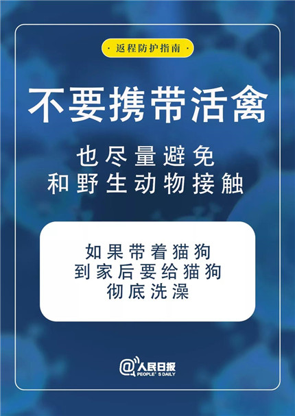 澳门今晚开生肖