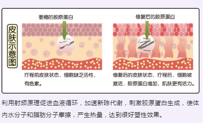 澳门今晚开生肖